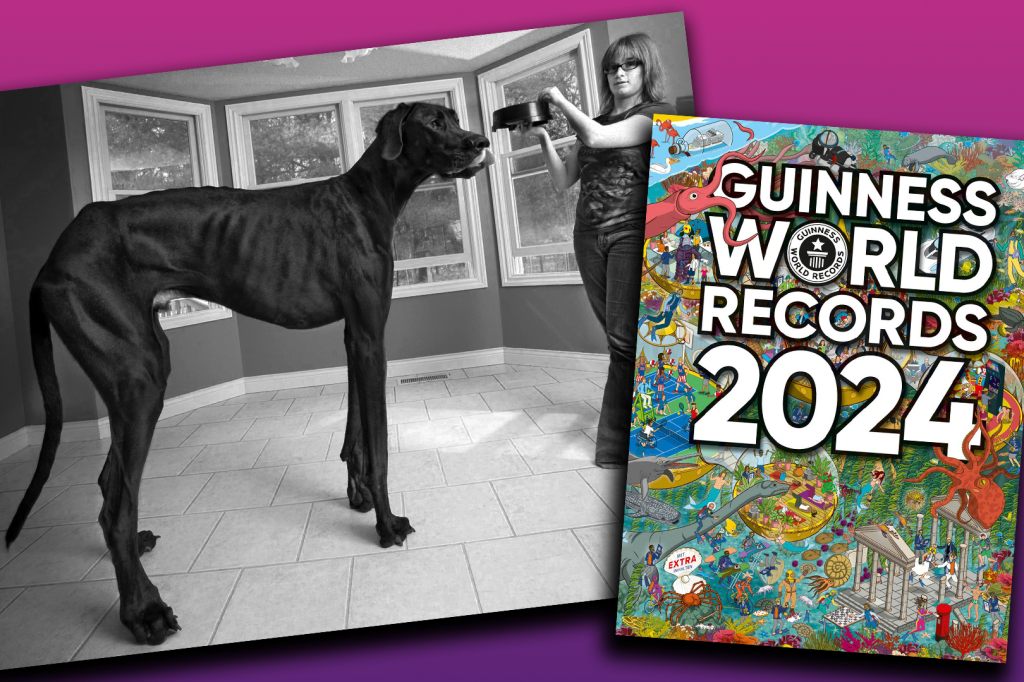 Der grösste Hund der Welt ist gestorben
