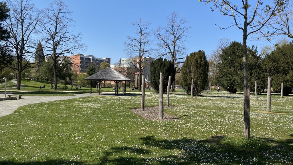 Nach Vergewaltigung im Horburgpark: 24-Jähriger sitzt in U-Haft
