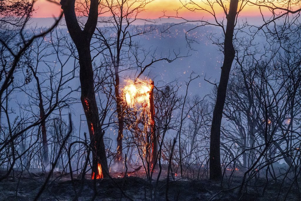 Waldbrand in Kalifornien wächst rasant