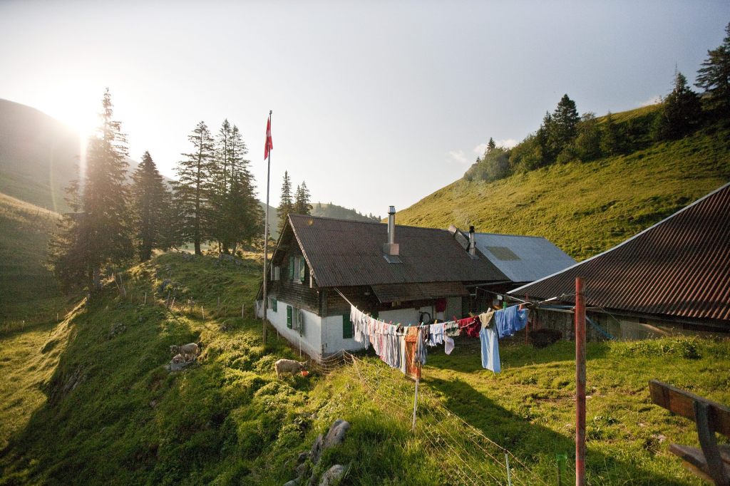 Schweizer Landschaft diesen Sommer «so schön wie lange nicht mehr»
