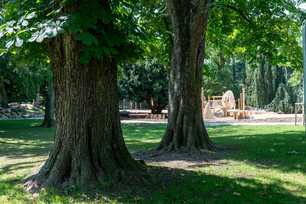 Rosenfeldpark wird wieder eröffnet