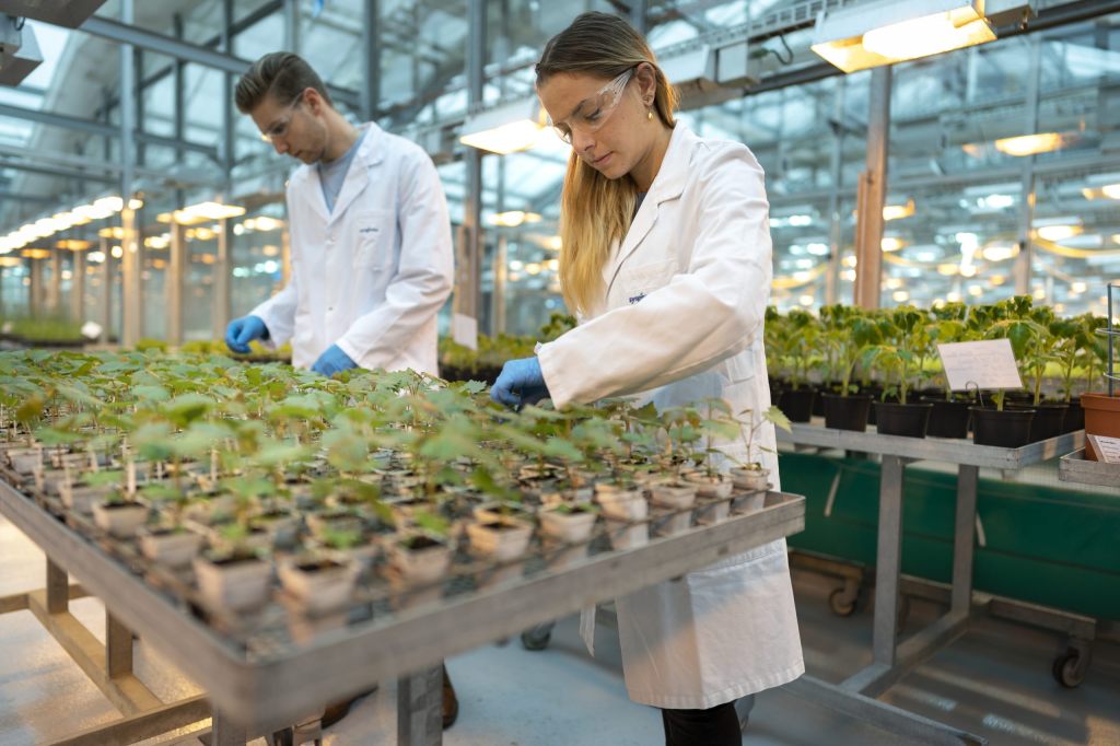Syngenta macht deutlich weniger Umsatz und Gewinn