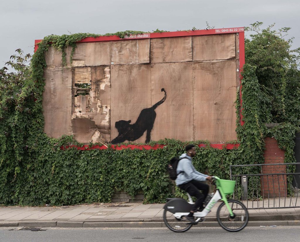 Katze bei Dehnübungen: Banksy setzt Tierreihe in London fort