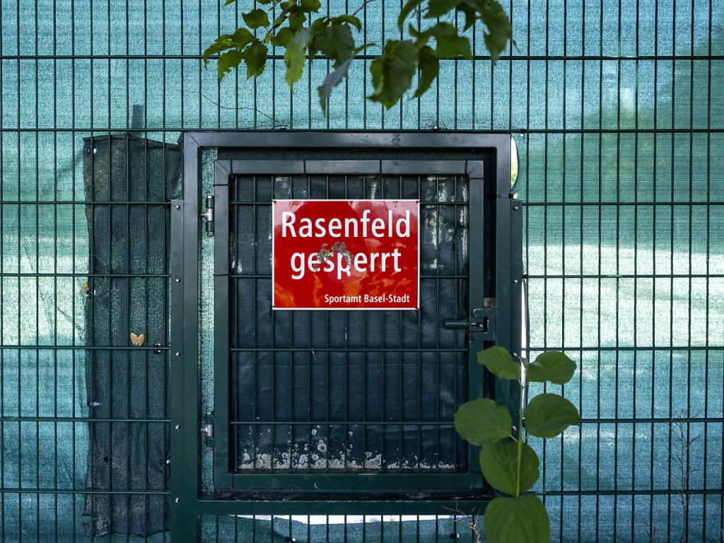 Zum Ende der Hauptflugsaison des Japankäfers gibt&#8217;s Kunstrasen in Basel
