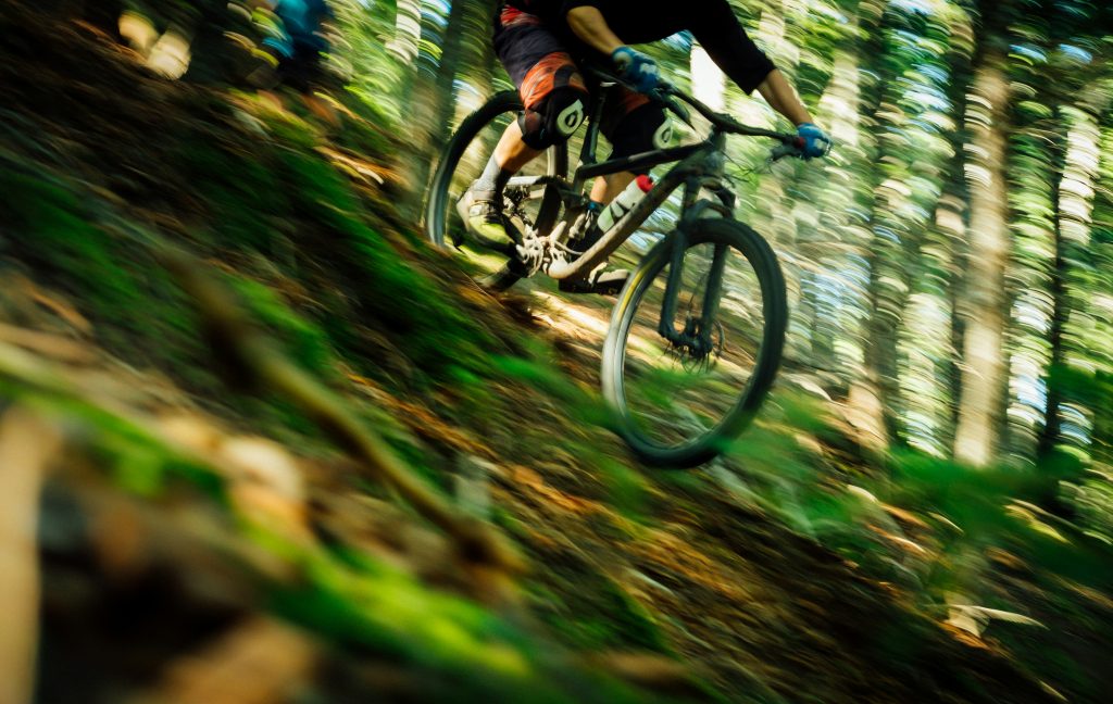 Solothurner Behörden und Mountainbiker streiten sich um den Wald