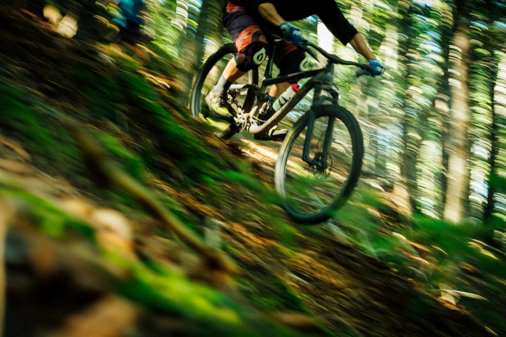 Solothurner Behörden und Mountainbiker streiten sich um den Wald