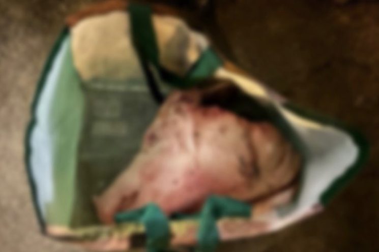Ein «erschütternder Angriff»: Schweinekopf vor Moschee im Kleinbasel platziert