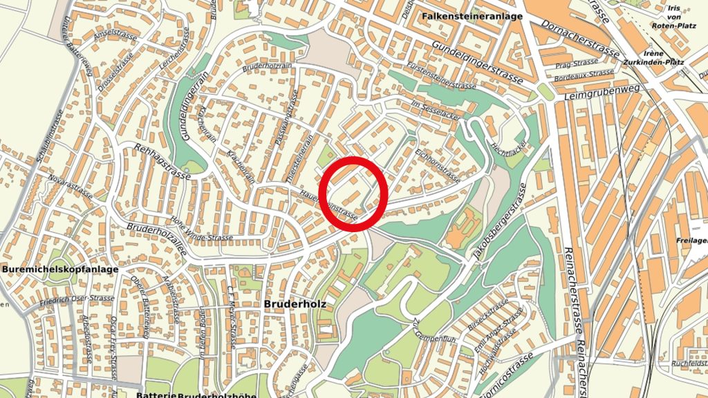 Blauzungenvirus auf dem Bruderholz? Vier tote Schafe auf Wiese entdeckt
