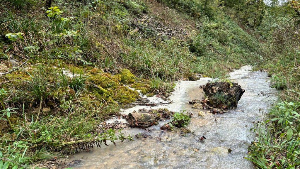 Buechholdenbächli in Lausen weiss verfärbt