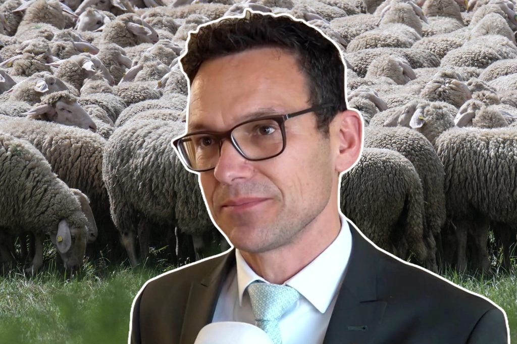 Thomi Jourdan sichert Schäfern Entschädigung für tote Tiere zu