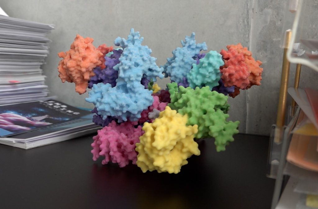 Basler Zellforscher erhält den Balzan Preis