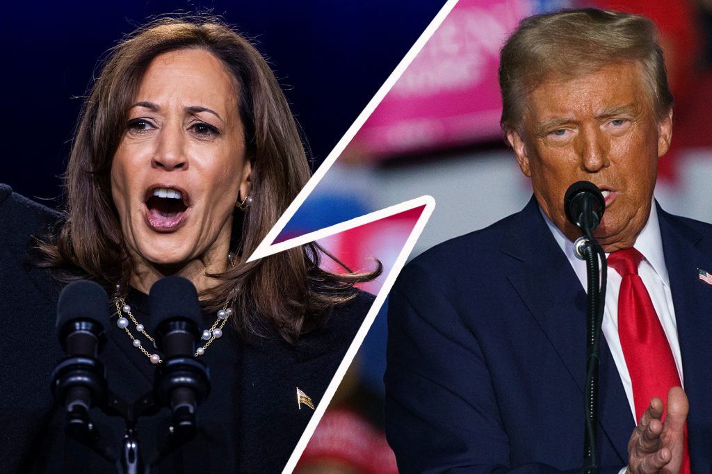 Harris gegen Trump: Schlussspurt vor der Schicksalswahl