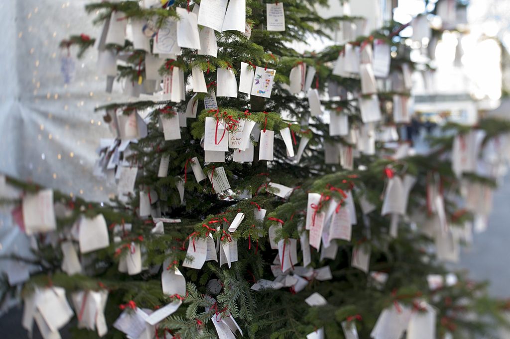 In der Region stehen Weihnachtsbäume voller Kinderwünsche