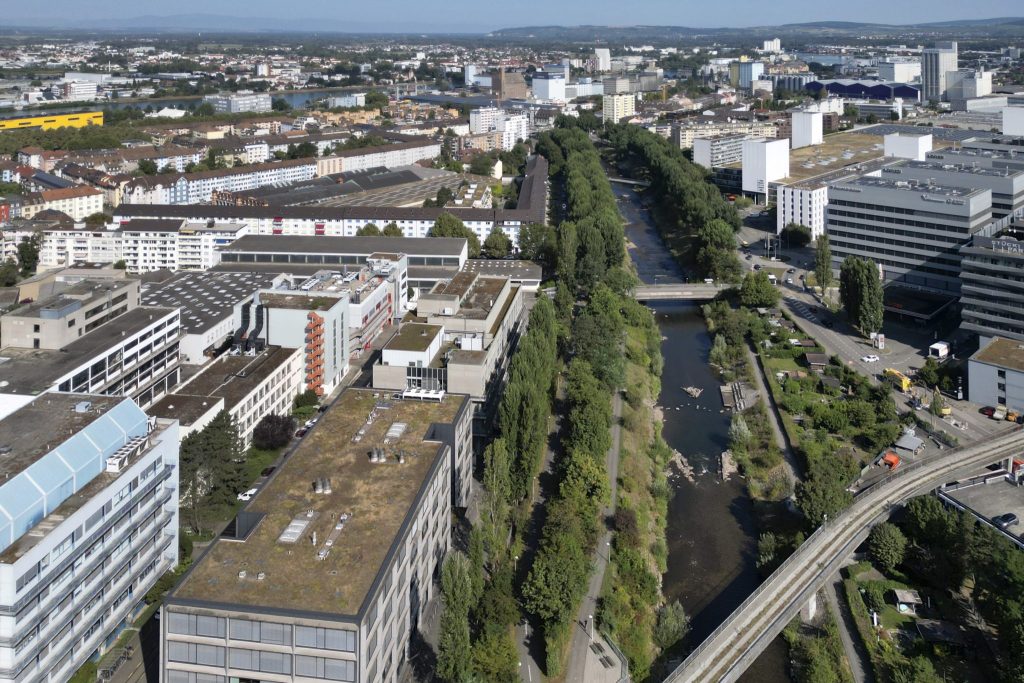 Klybeckareal: Swiss Life weist Vorwürfe von Altlastenexperte zurück
