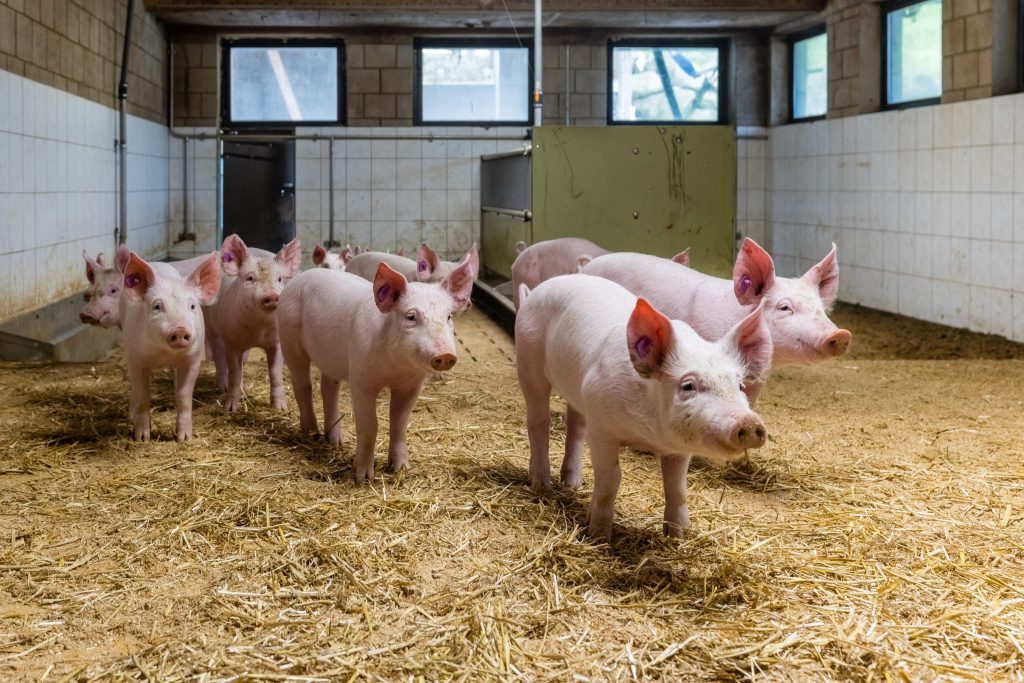 Bei der Landwirtschaft soll bis 2029 nicht gespart werden