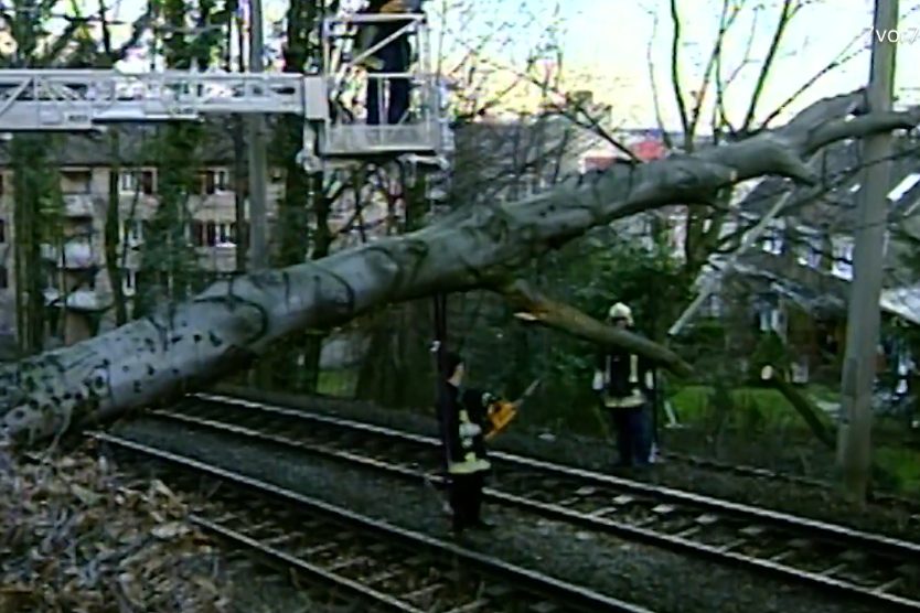 Heute vor 25 Jahren: Lothar bringt sein Unheil über die Region Basel