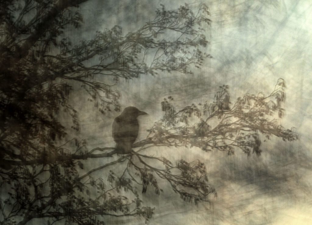 Mit Bewegung zum perfekten Bild - Jiří Hřebíček zeigt, wie's geht