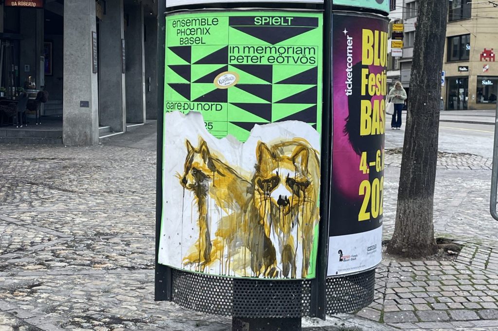 In Basel sind die Waschbären los
