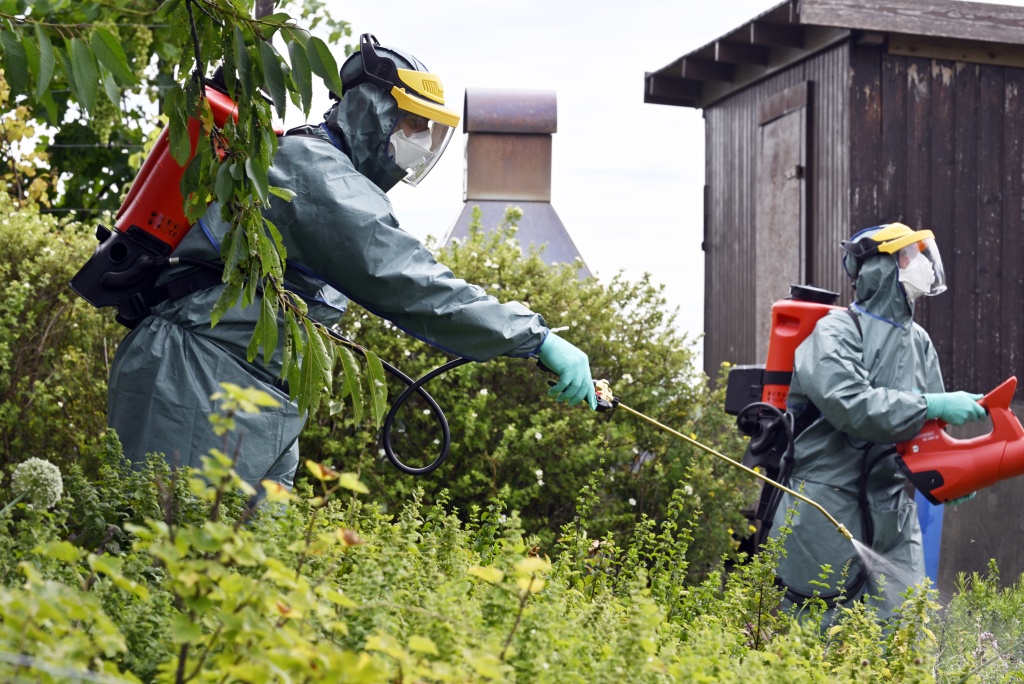 Kampf gegen Asiatische Hornisse mit Biozid &#8211; auch im Wald