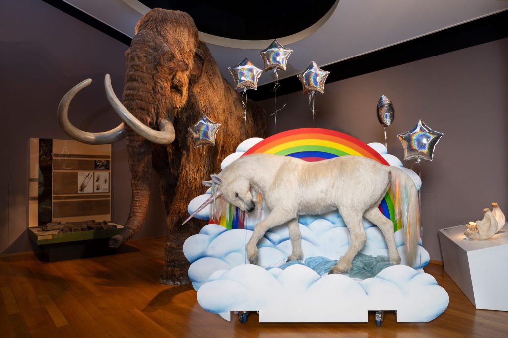 Museums-Aktionen: Glitzer, Glamour und Anatomie vereint während des ESC