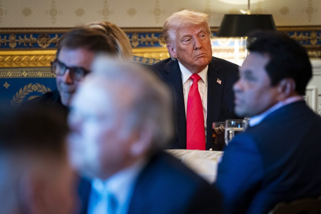 Streit um Trumps Abschiebepolitik: Härtetest für Rechtsstaat