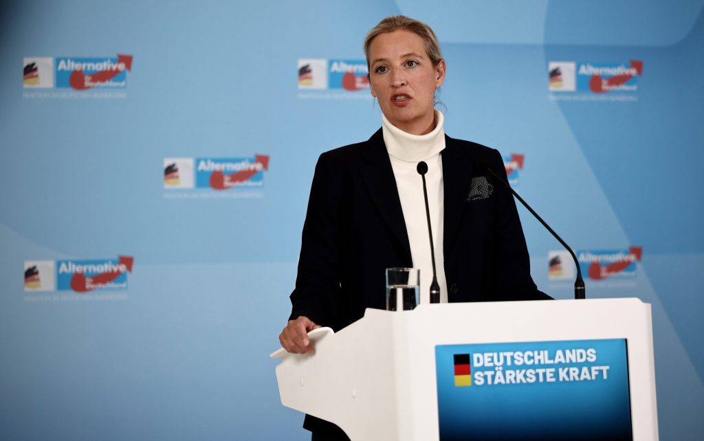 Vor Union: AfD erreicht in Umfragen neuen Höchstwert