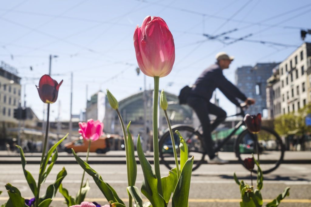 Sehr milder und in vielen Landesteilen trockener Frühling 2025