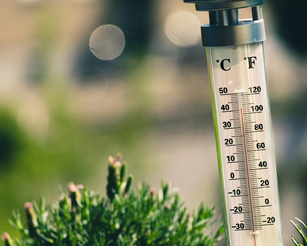 UN-Wetterbehörde erwartet schon bald neuen Temperaturrekord