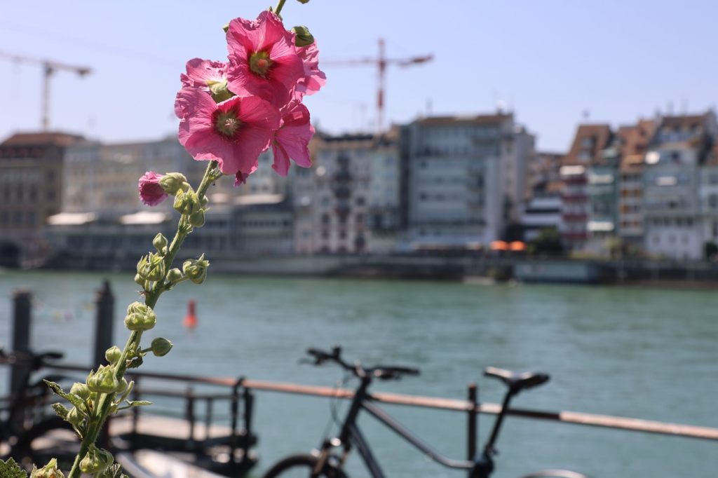 Heiss und viel Sonne: Der Sommer zeigt sich von seiner besten Seite
