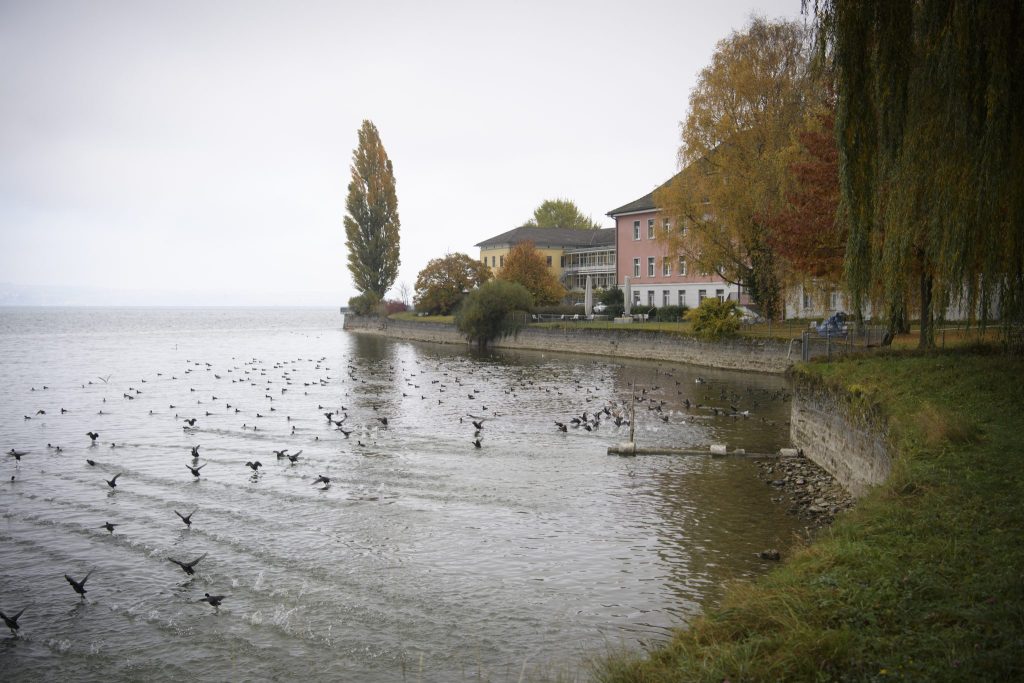 Thurgau spricht bisher eine Million für Opfer von Medikamententests