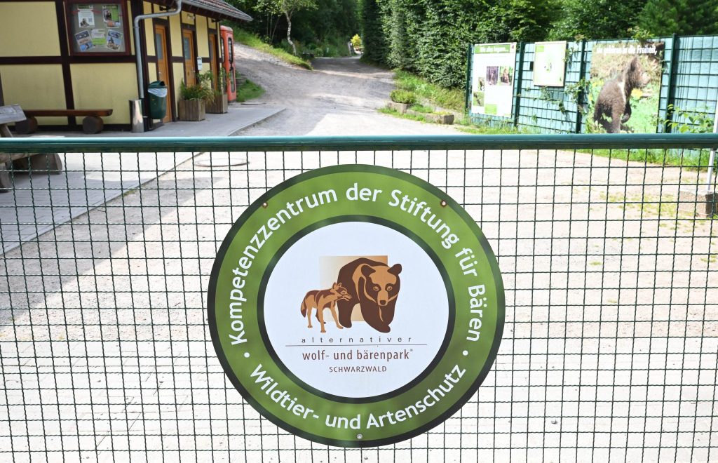 «Problembärin» Gaia im Bärenpark angekommen