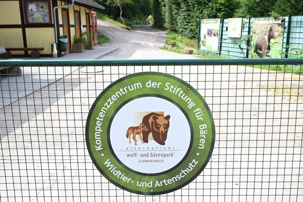 «Problembärin» Gaia im Bärenpark angekommen