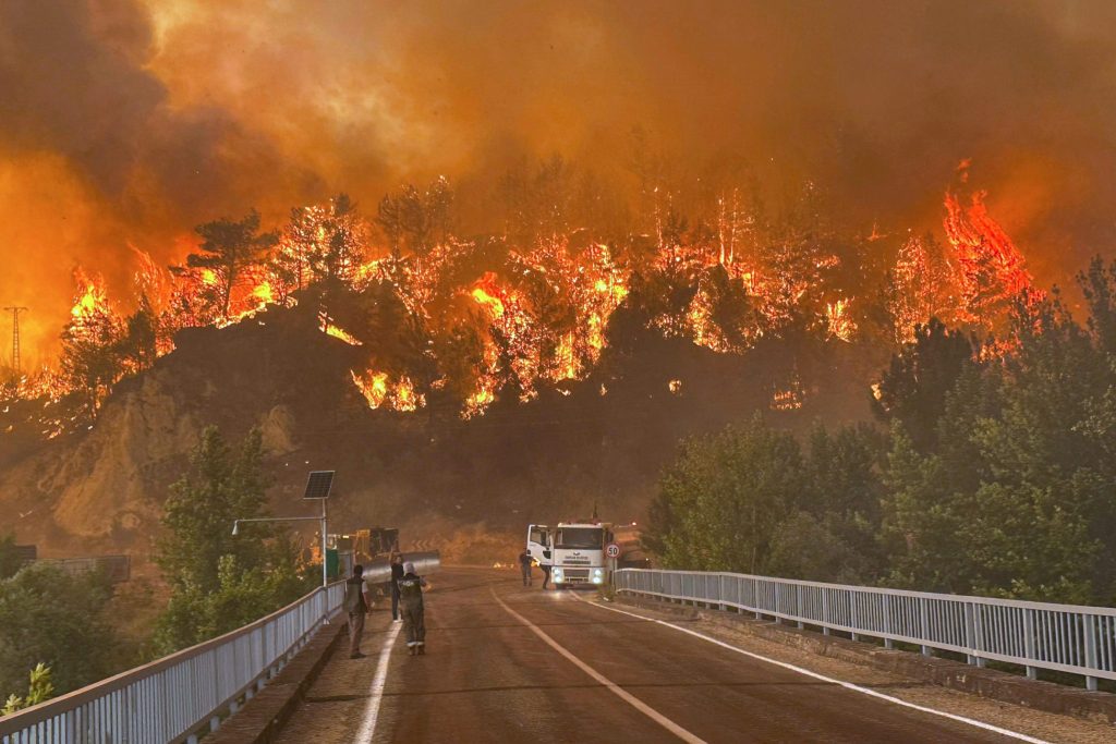 Waldbrände in Südeuropa: Menschen fliehen vor den Flammen