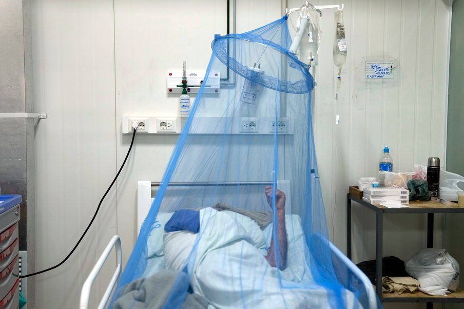 WHO warnt nach Ausbruch in China vor Chikungunya-Virus