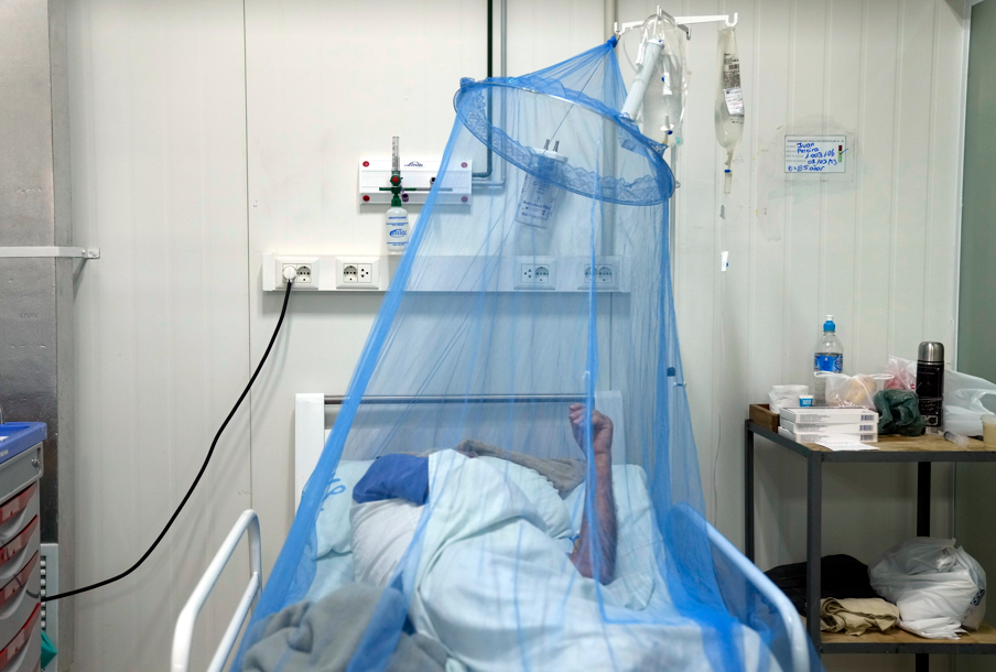 WHO warnt nach Ausbruch in China vor Chikungunya-Virus