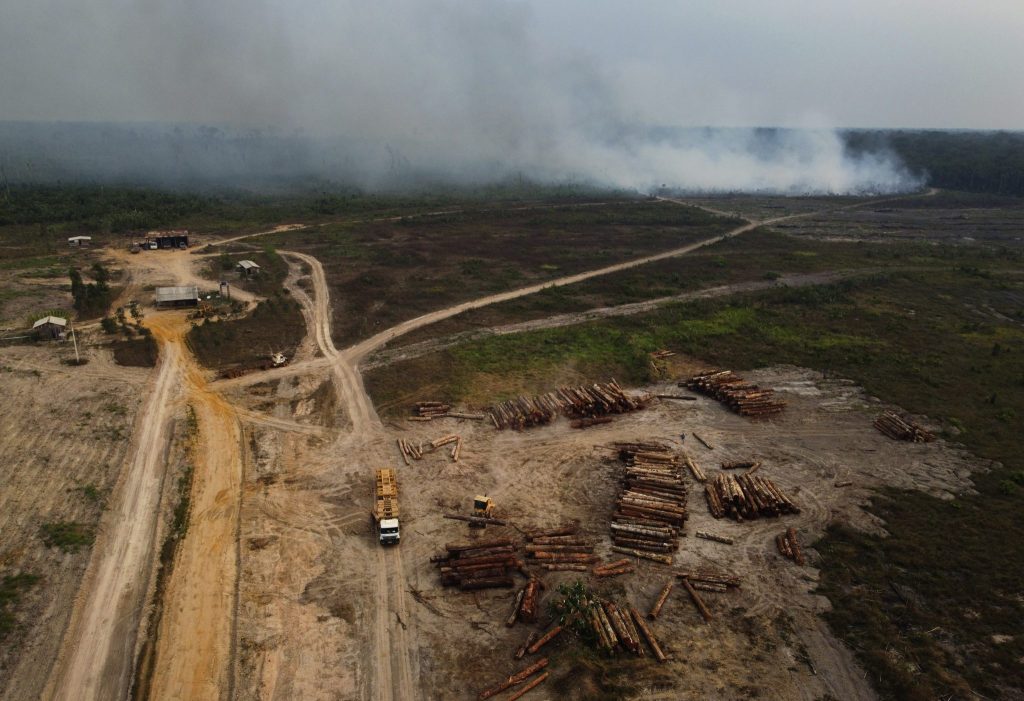 Amazonas verliert in 40 Jahren Fläche grösser als Spanien