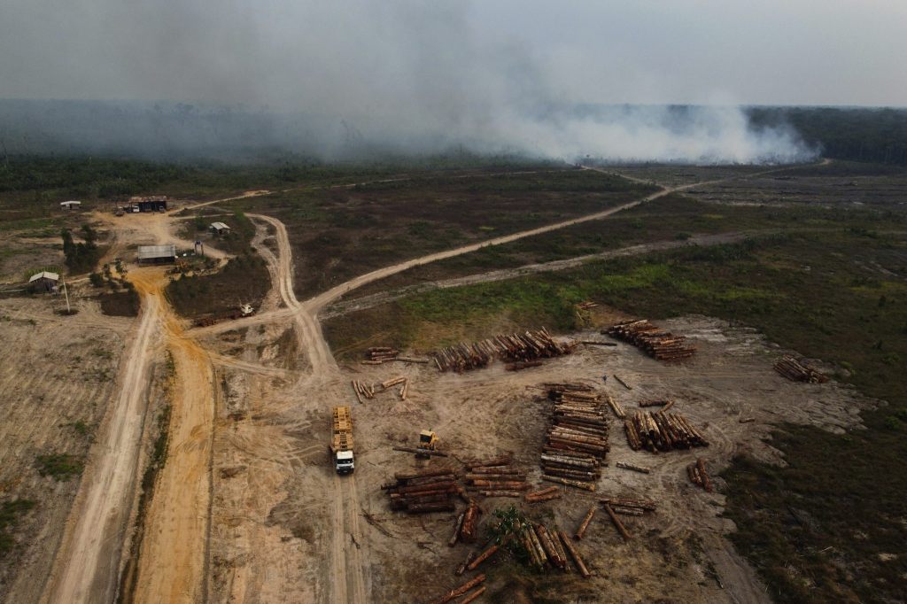 Amazonas verliert in 40 Jahren Fläche grösser als Spanien