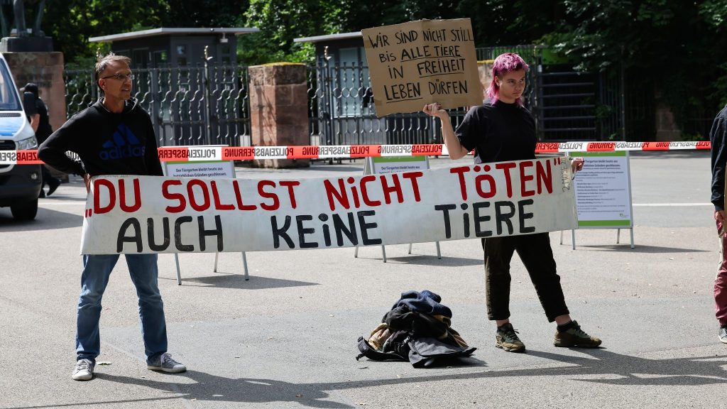 Paviane getötet und an Raubtiere verfüttert