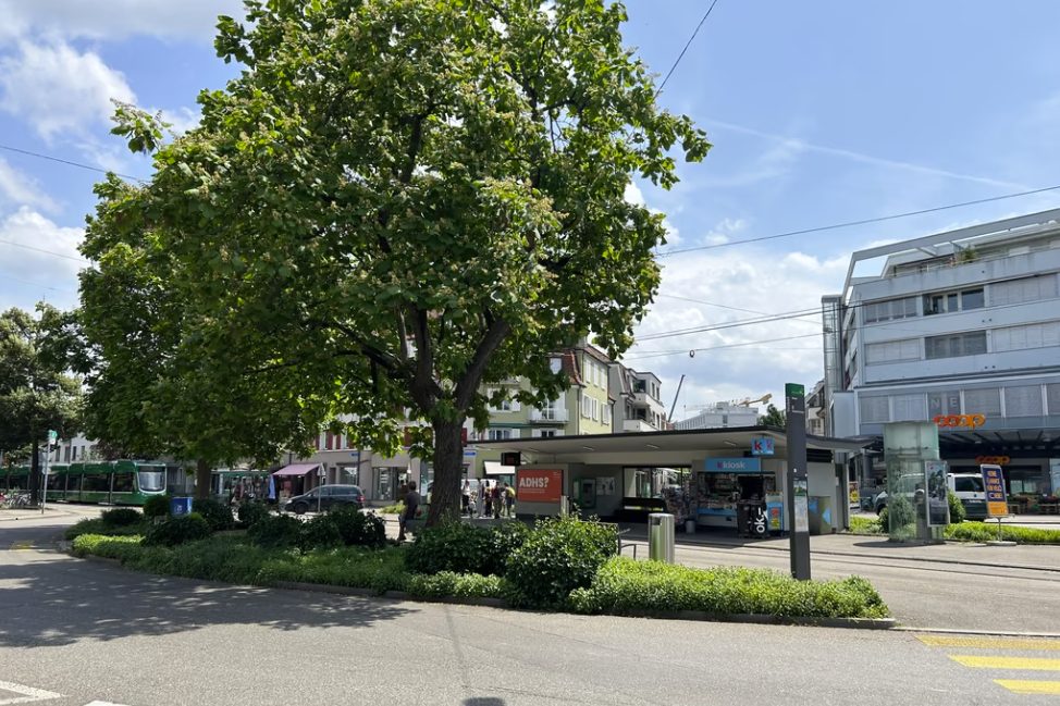 Verkehrseinschränkungen ab Montag: Im Neubad wird gebaut
