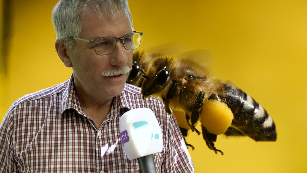Im Reich der Bienen mit dem Bienenzüchter Verein Basel