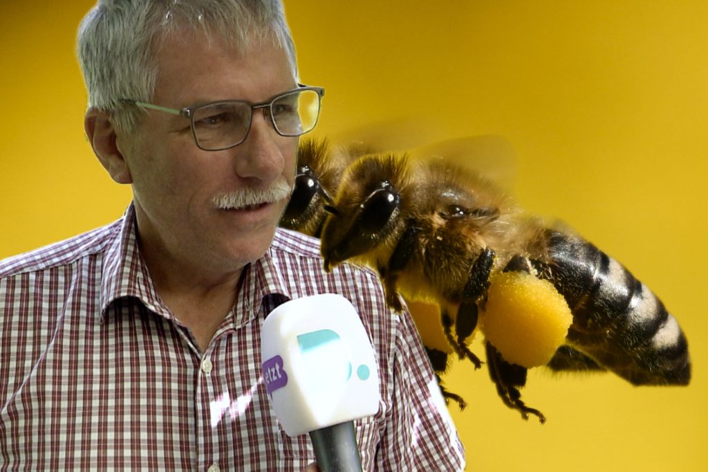 Im Reich der Bienen mit dem Bienenzüchter Verein Basel