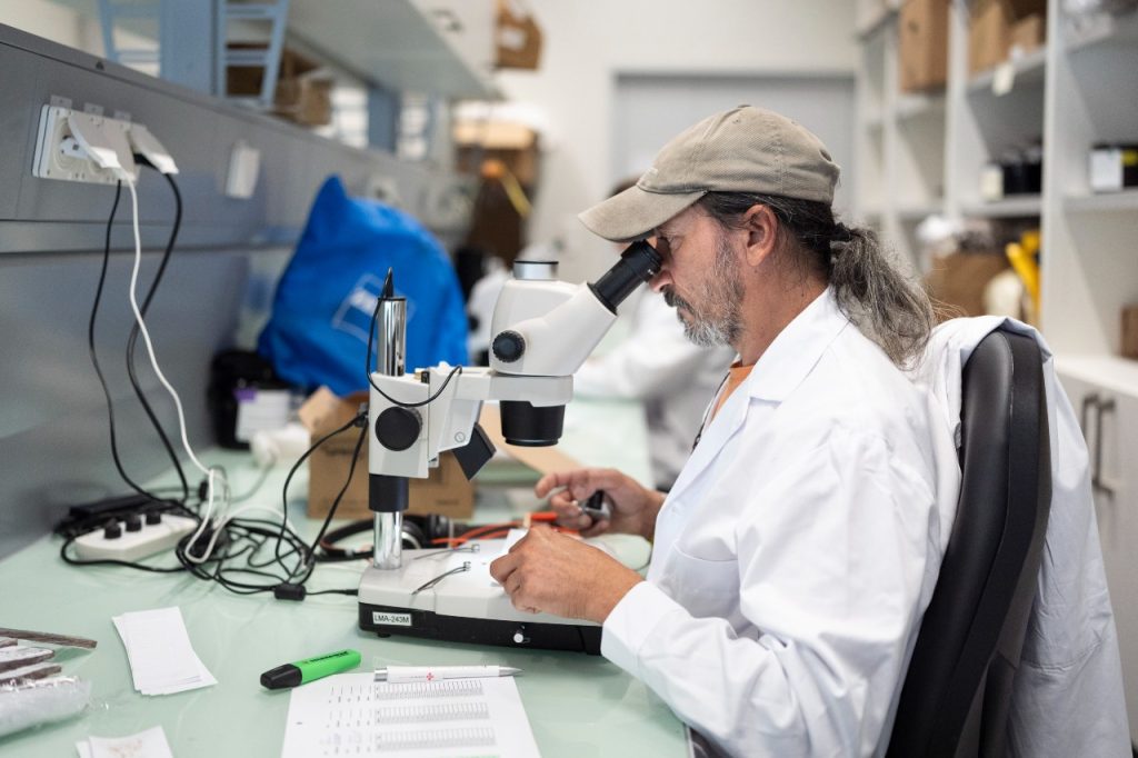 Neue Plesiosaurier-Gattung entdeckt