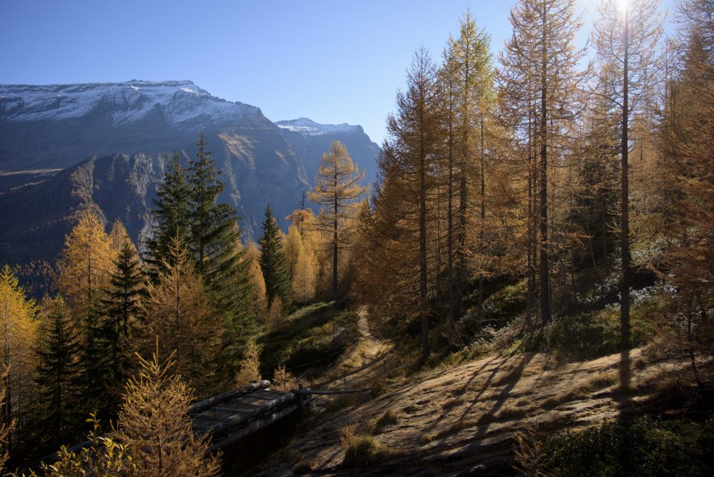 58-jähriger Mann stirbt bei Bergunfall im Tessin