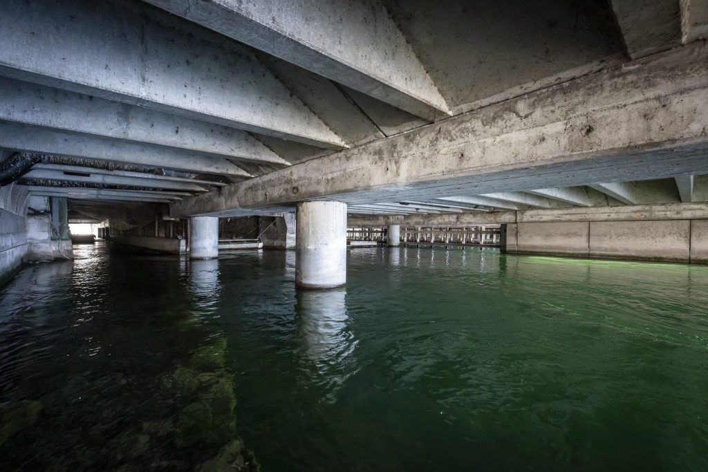 Polizeitaucher stirbt in der Limmat