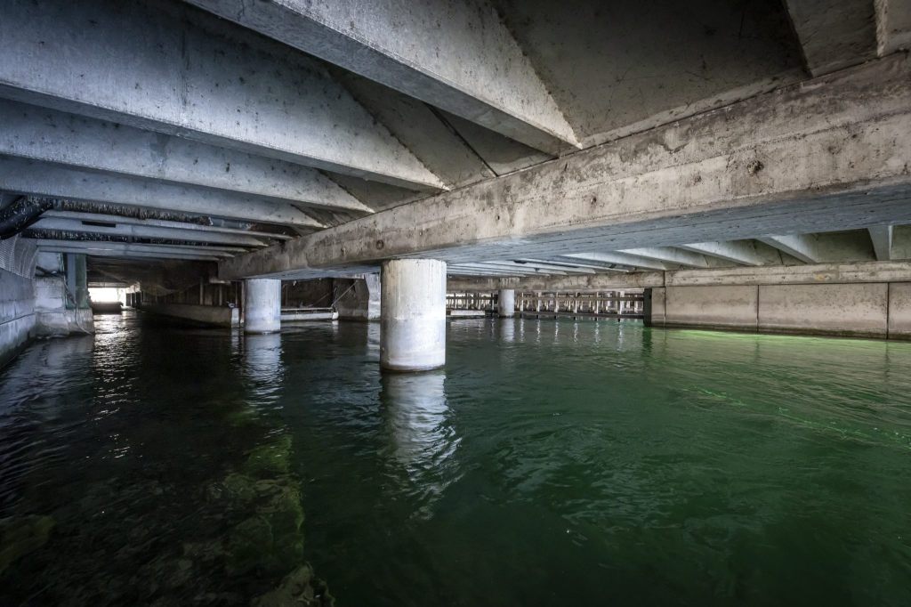 Polizeitaucher stirbt in der Limmat