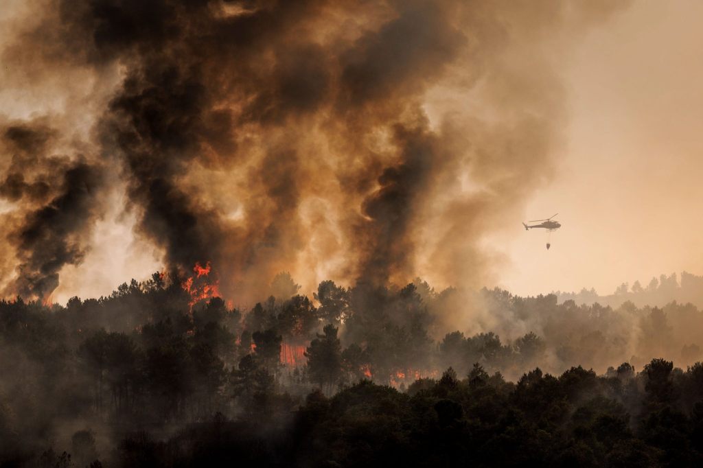 Höchste Waldbrand-Emissionen in Europa seit Messbeginn