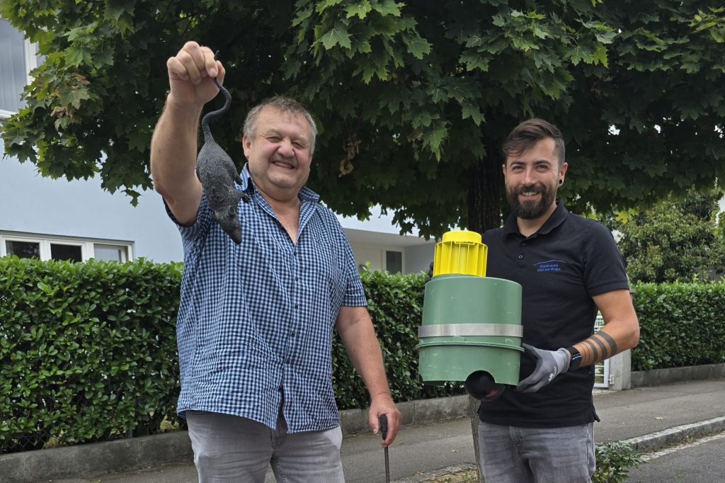 Weil am Rhein kämpft mit gezieltem Monitoring gegen das Rattenproblem