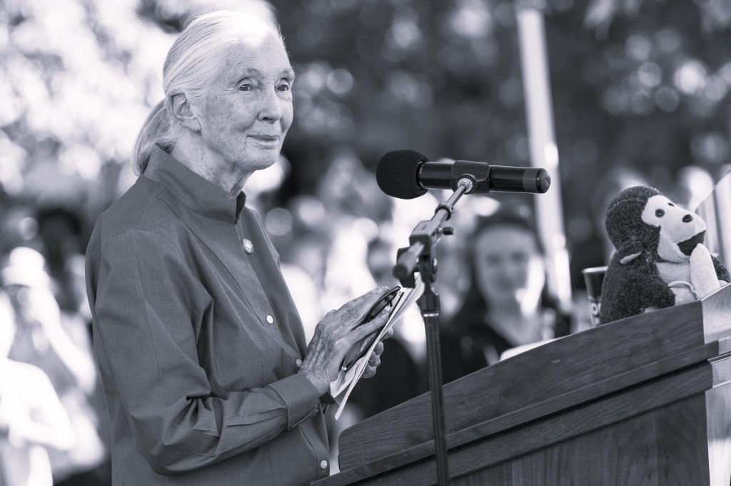 «Es war eine Freude, ihr zuzuhören»: Professor Dieter Ebert über Jane Goodall