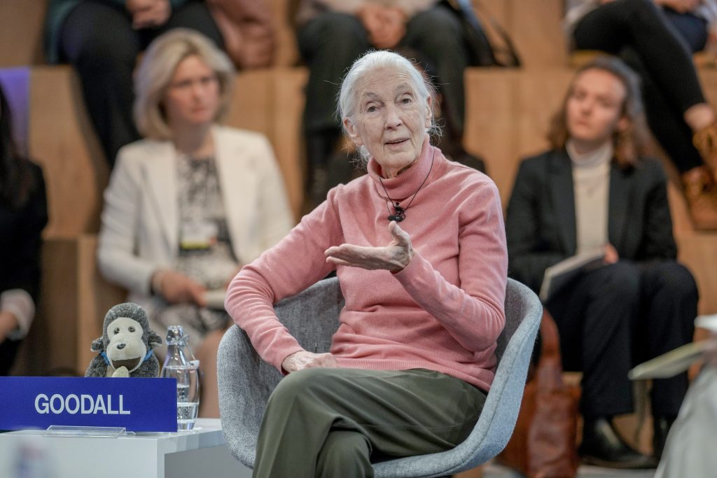 «Es war eine Freude, ihr zuzuhören»: Professor Dieter Ebert über Jane Goodall
