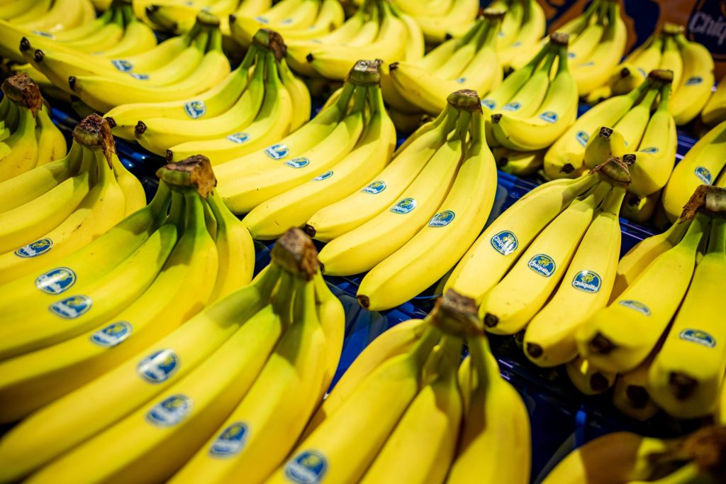 Chiquita wählt Sizilien für erste italienische Bananenplantage